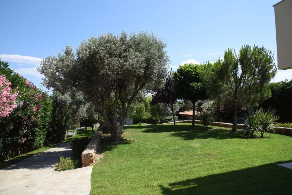 אמרינתוס Seaside Villa Andronikos מראה חיצוני תמונה