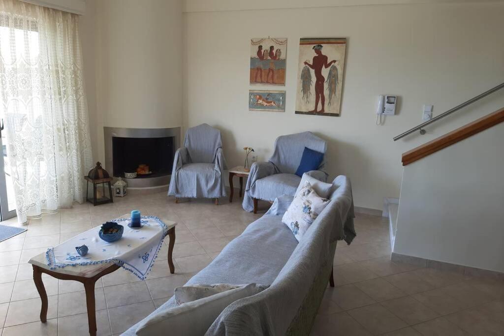 אמרינתוס Seaside Villa Andronikos מראה חיצוני תמונה