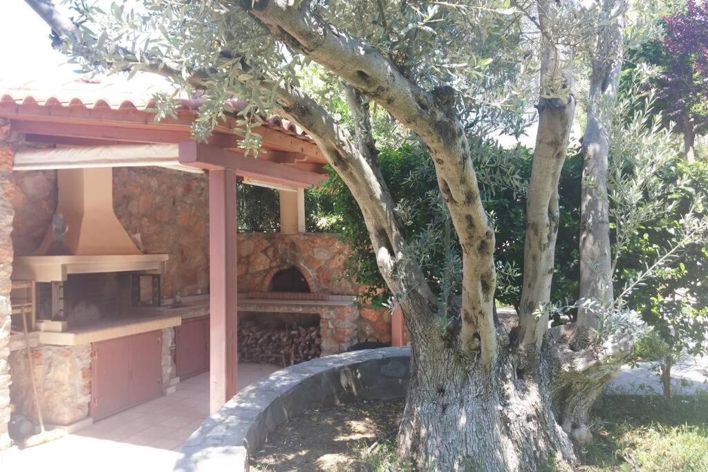 אמרינתוס Seaside Villa Andronikos מראה חיצוני תמונה