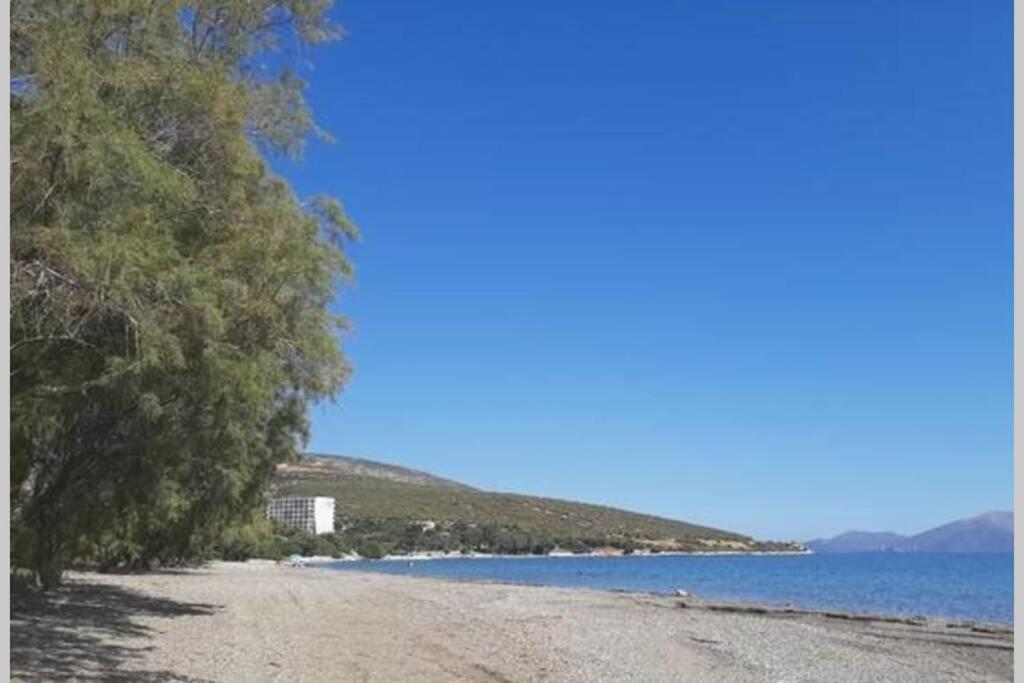 אמרינתוס Seaside Villa Andronikos מראה חיצוני תמונה