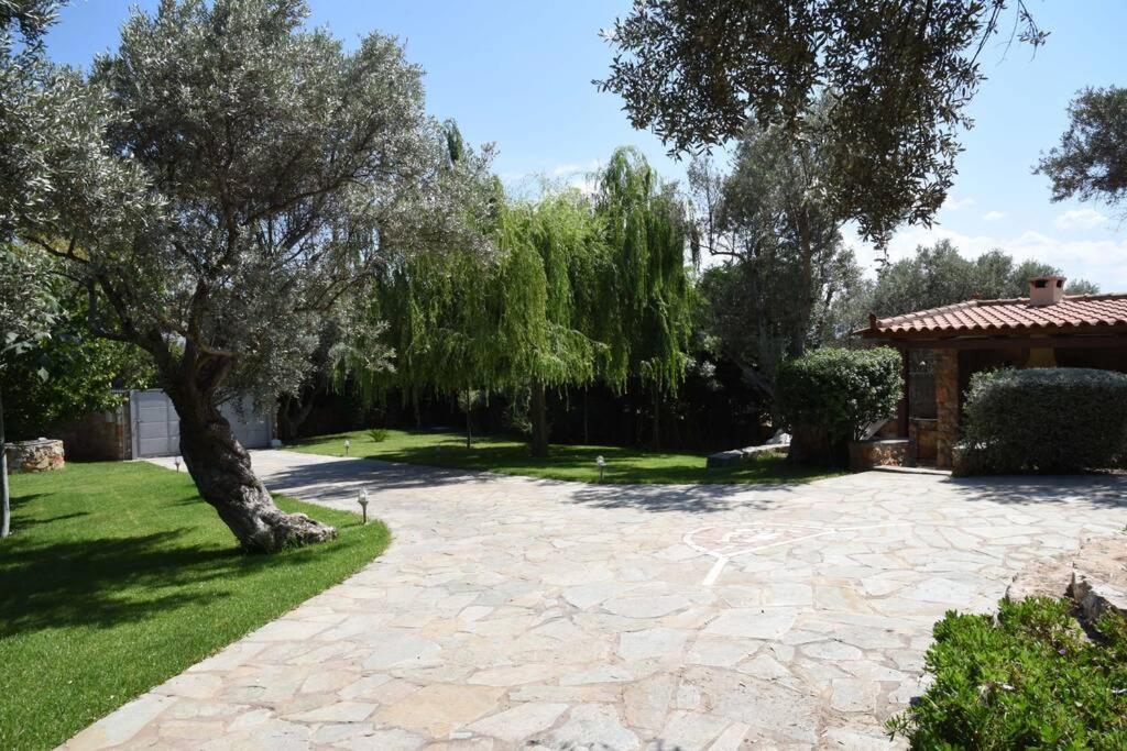 אמרינתוס Seaside Villa Andronikos מראה חיצוני תמונה