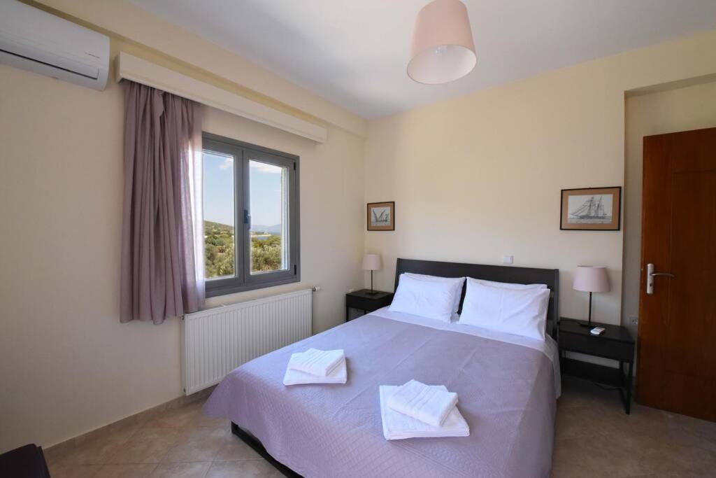 אמרינתוס Seaside Villa Andronikos מראה חיצוני תמונה