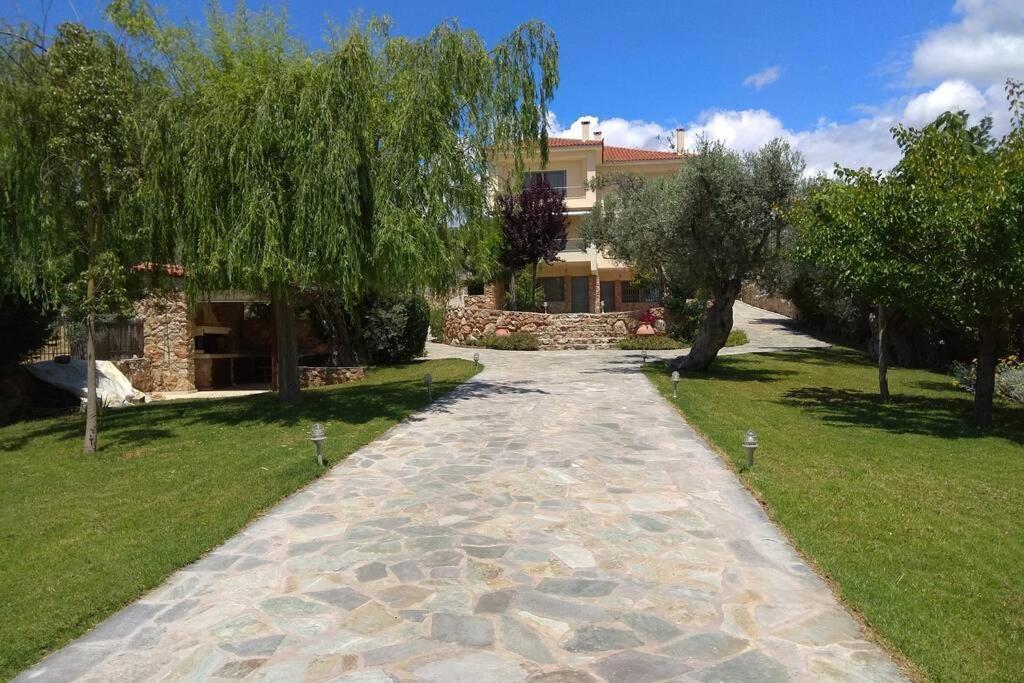 אמרינתוס Seaside Villa Andronikos מראה חיצוני תמונה