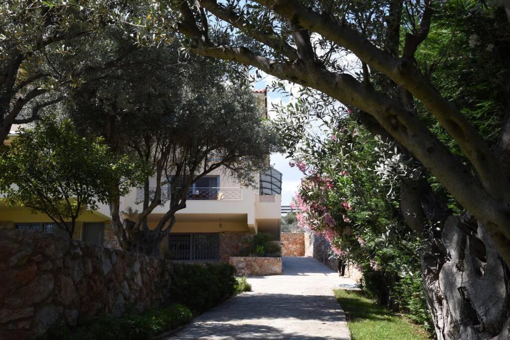 אמרינתוס Seaside Villa Andronikos מראה חיצוני תמונה