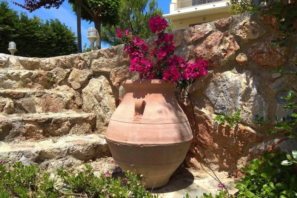 אמרינתוס Seaside Villa Andronikos מראה חיצוני תמונה