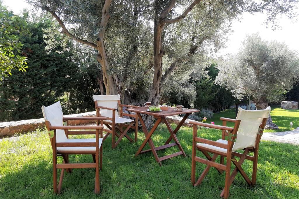 אמרינתוס Seaside Villa Andronikos מראה חיצוני תמונה