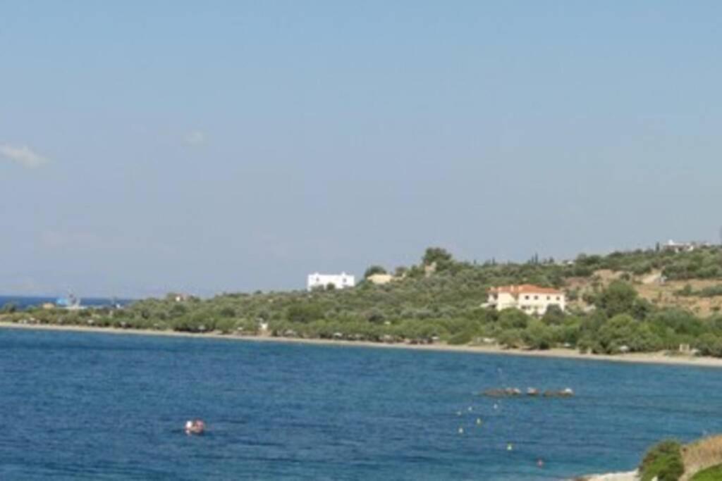 אמרינתוס Seaside Villa Andronikos מראה חיצוני תמונה