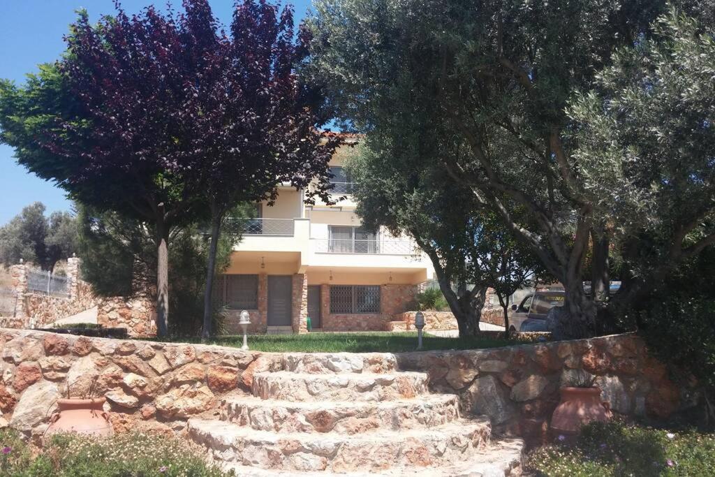אמרינתוס Seaside Villa Andronikos מראה חיצוני תמונה