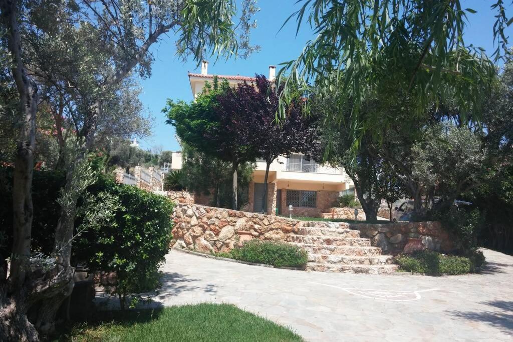 אמרינתוס Seaside Villa Andronikos מראה חיצוני תמונה