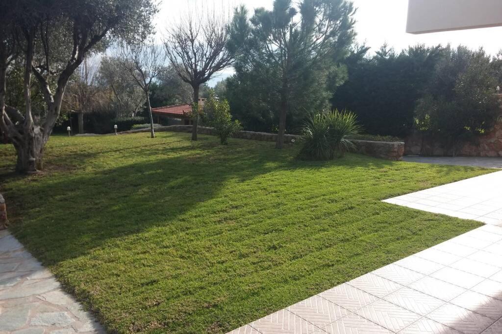 אמרינתוס Seaside Villa Andronikos מראה חיצוני תמונה