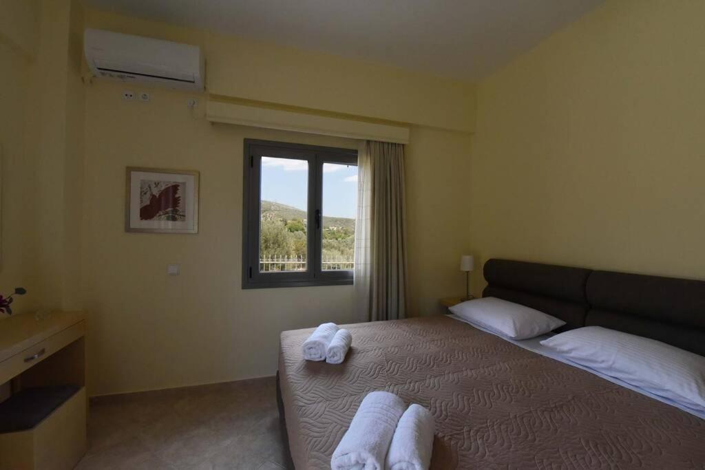 אמרינתוס Seaside Villa Andronikos מראה חיצוני תמונה