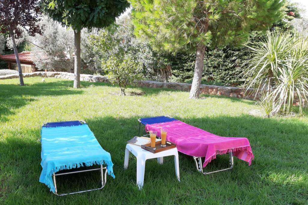 אמרינתוס Seaside Villa Andronikos מראה חיצוני תמונה