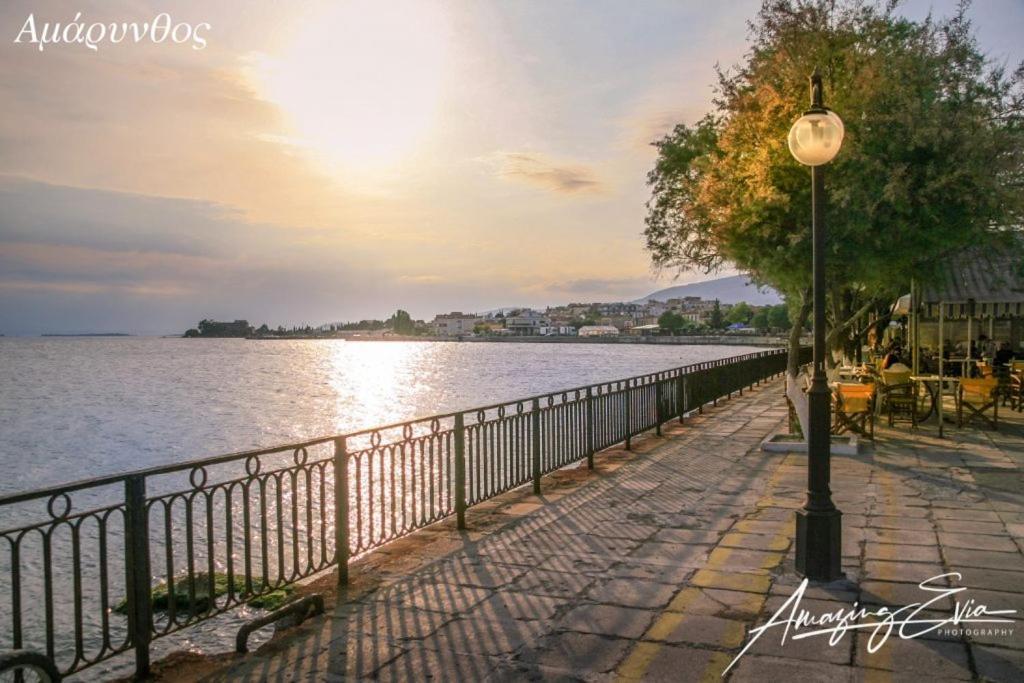 אמרינתוס Seaside Villa Andronikos מראה חיצוני תמונה